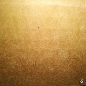 Meet your Posher, Ken train matson